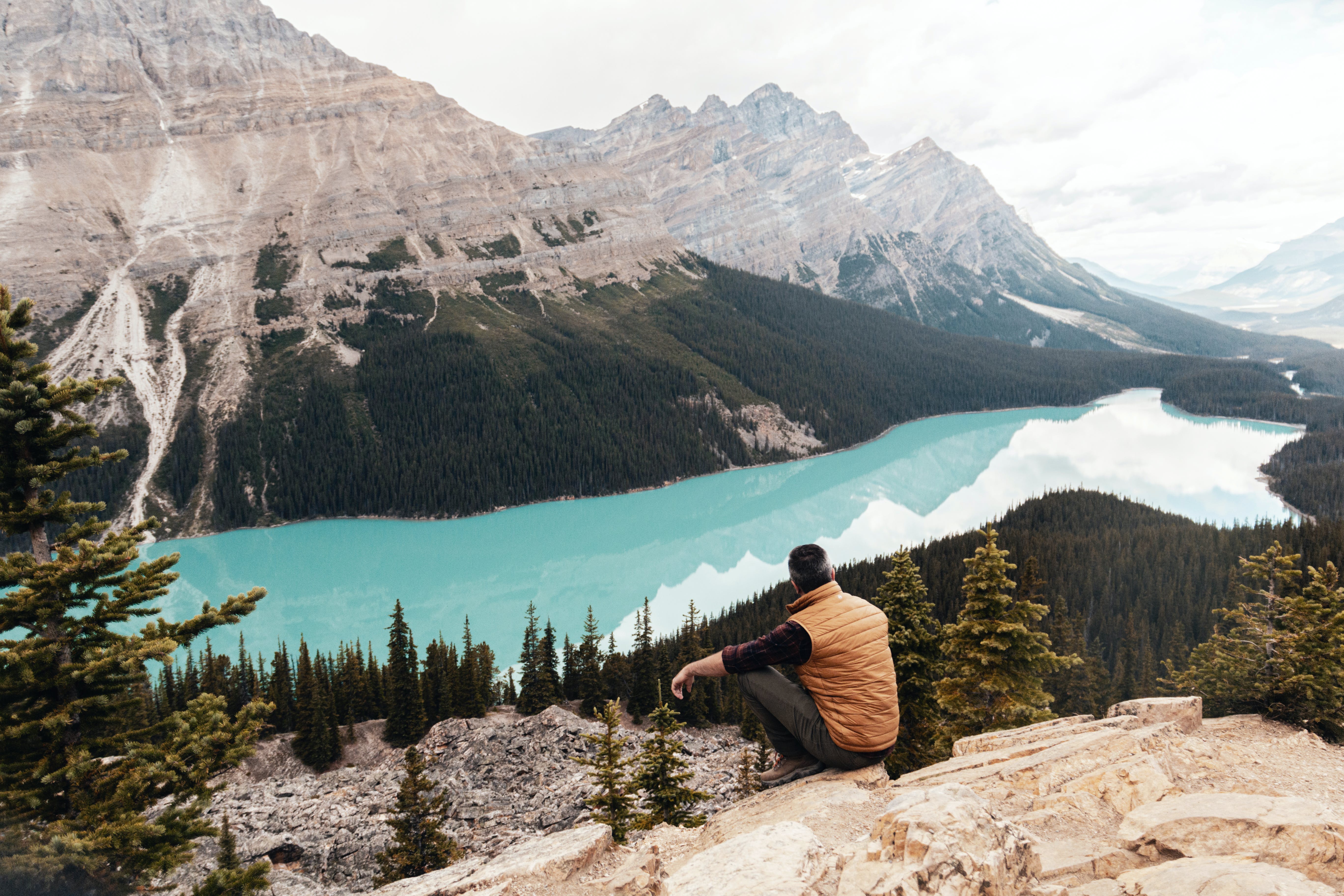 View of Peyto Lake from above showing a shape of a fox